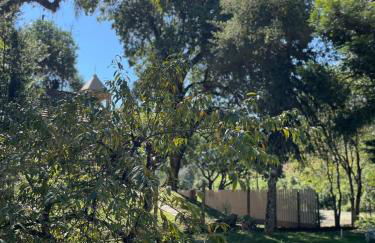 Memora Guesthouse Bateias - Casa Inteira e quartos em chácara - Photo 70