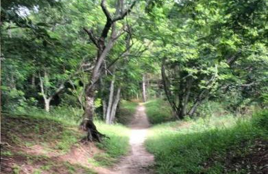 Loft Condado Mangaratiba - Foto 29