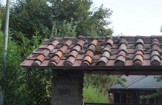 La Lamponaia - Foto 25