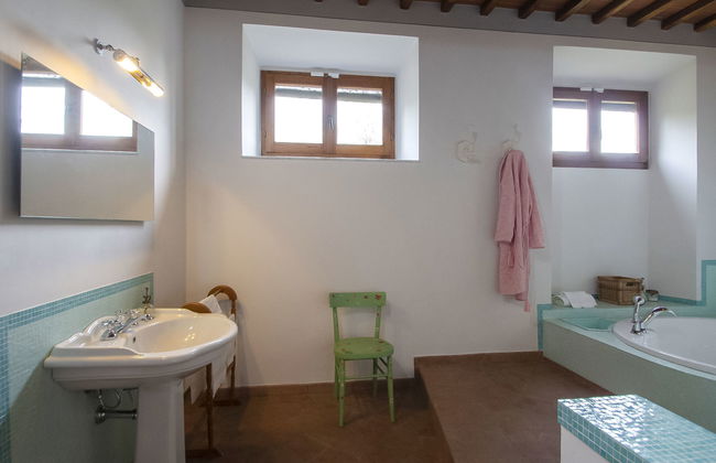 Corbezzolo - Foto 17