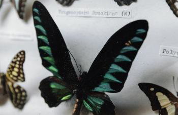 Spinks Nest - a boutique cottage near Holt, North Norfolk - Foto 16