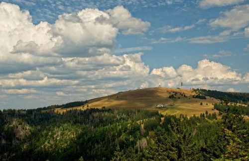 Fidelis-Bühl Muggenbrunn - Foto 11