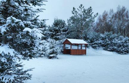 Biały Domek Nielbark - Agroturystyka - Foto 3