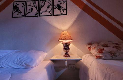 Chácara dos Pássaros - Foto 11