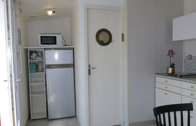 Roses Tremières - Foto 8