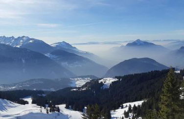 Chalet montagne 11 p Grand Massif 100 m télécabine - Photo 18