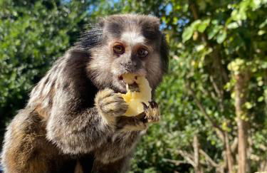 Pousada Fazendinha Beach Club Arraial do Cabo - Photo 66