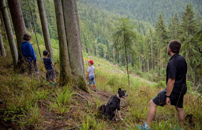 Ferienwohnung in Schiltach - Foto 18