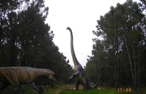 Rex Surf House - Foto 41