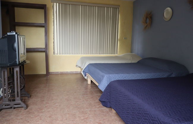 House of Ficus Banderilla,veracruz-mexico - Foto 4