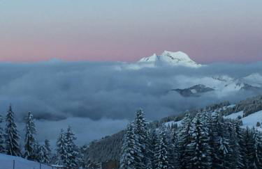 Avoriaz le M1212 - Photo 30