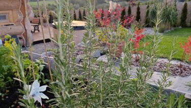 Domek Gruszkowy Wzorek - Foto 5