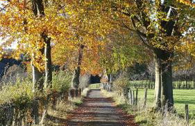 Ferienhaus Am alten Fachwerk - Foto 35