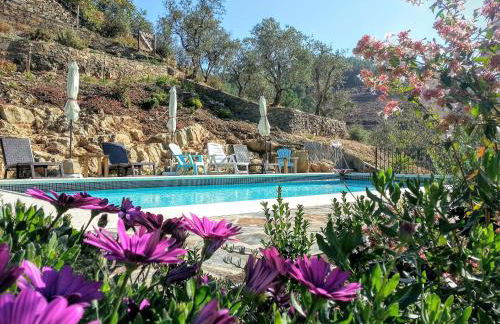 Casas do Couratão - Foto 8