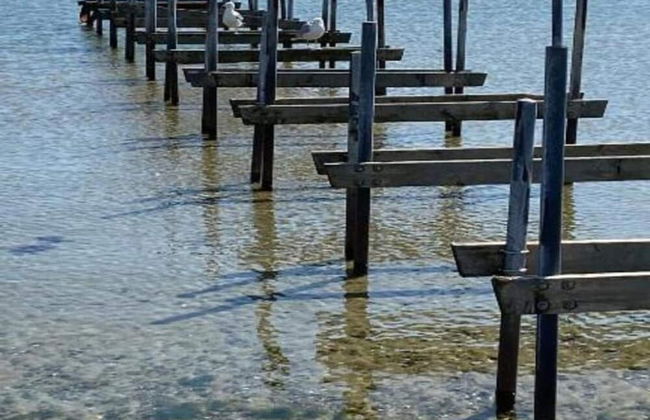 6 Person Holiday Home in Skibby - Foto 24