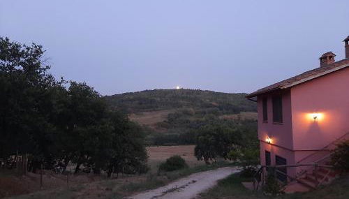 L'Albero degli Struzzi - Foto 3