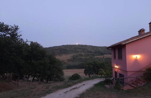 L'Albero degli Struzzi - Foto 3