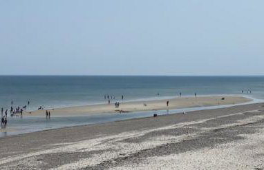 Seaside Oasis - Foto 7