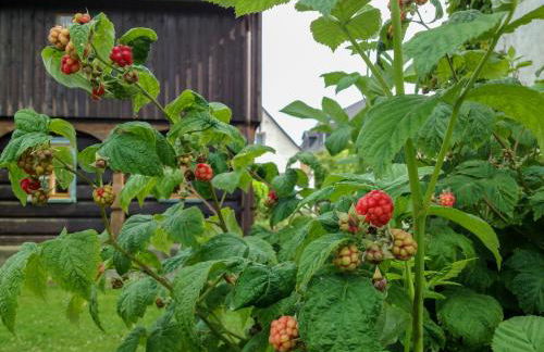 Altendorfer Vorwerk - Ferienapartments - Foto 78