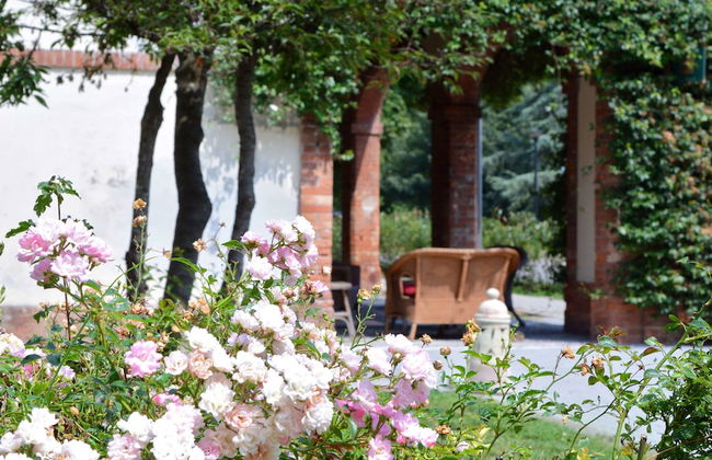 Agriturismo Ponte di Rialto - Foto 28