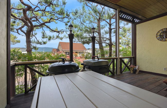 Art in Tiara - Foto 62