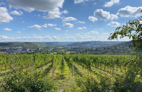 Exklusives Ferienhaus in Top Lage mit Pool, Sauna, Terrasse - Der Johannishof - Foto 55