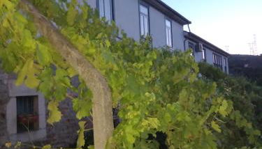 Quinta Casa Do Quintal - Foto 1