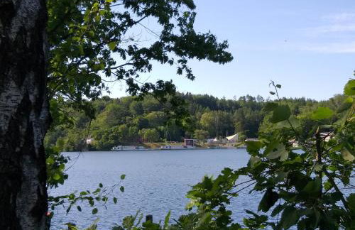 Waldidylle - Bungalows an der Talsperre Kriebstein - Foto 9