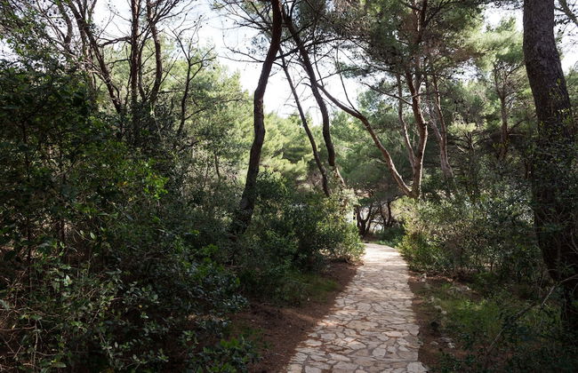 Apartments Limuni - Foto 65