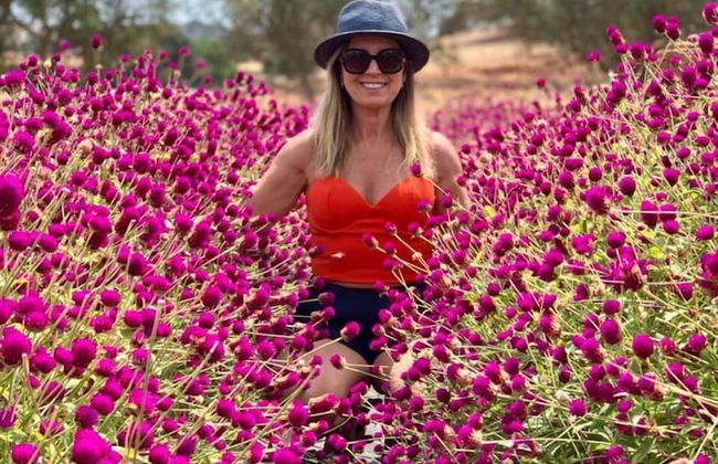 Quinta do Mel - Foto 50