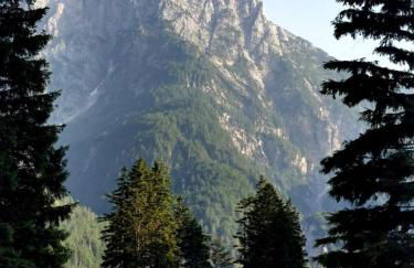 Alpine Luck Apartment, Sella Nevea - Foto 8