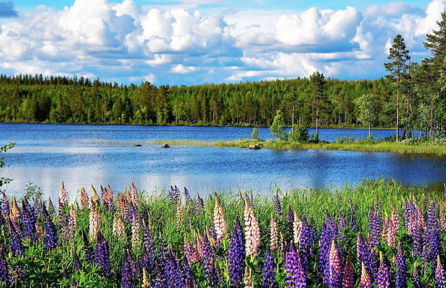 6 Person Holiday Home in Kopparberg-by Traum - Foto 16