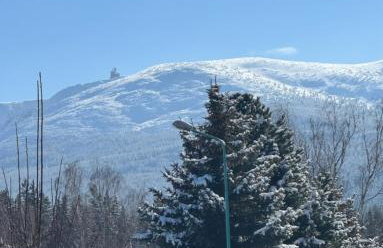 Królewna Śnieżka - Foto 34