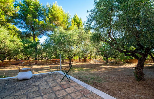 Doliva Estate - Foto 54