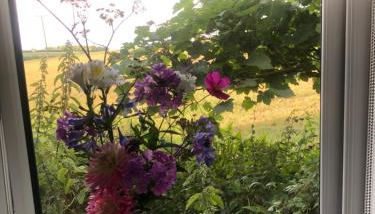 Beautiful one bed Pod in idyllic surroundings - Foto 4