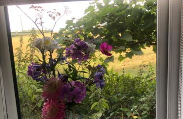 Beautiful one bed Pod in idyllic surroundings - Foto 4