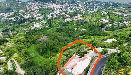 Villa Gesualda - Foto 3