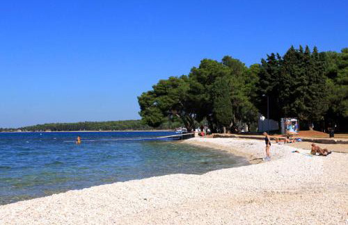 Holiday house with a swimming pool Stokovci, Central Istria - Sredisnja Istra - 7277 - Foto 4