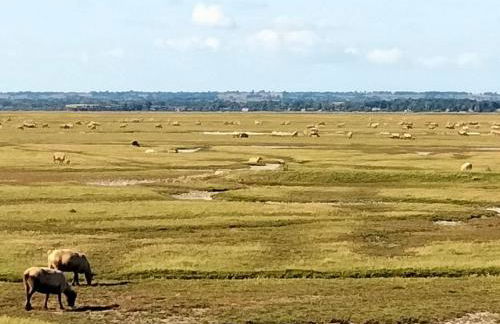 Maison MANTA - Foto 13