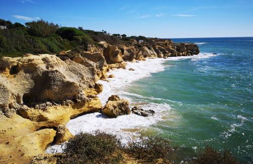 Apartment Sweet Pear with garage - Foto 16