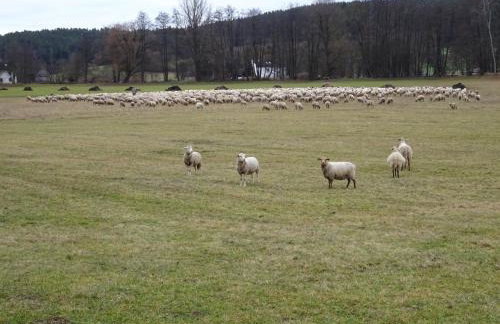 Ferienwohnung Wassergartenparadies - Foto 27