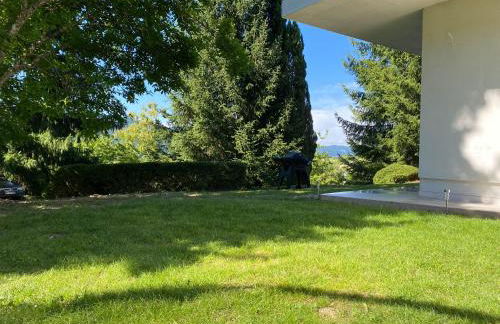 Kandelblick - Foto 32