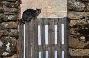 La Quinta Del Chocolatero - Photo 12