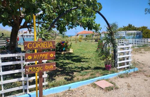 Cornelia Hippie Magic Bus - Foto 27