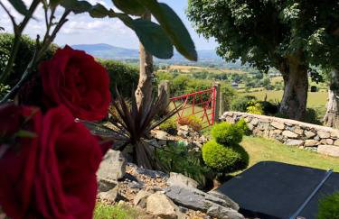 Mc Courts Cottage - Foto 33