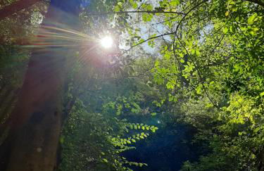 Le Logis des Templiers appartement climatisé - Foto 51