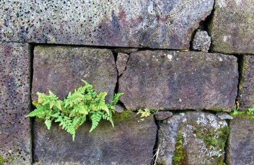 Casa da Arquinha - Photo 21