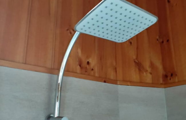 The Boomerangs - Foto 21