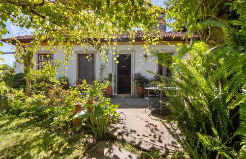 Guest House Casa S Martinho - Foto 29