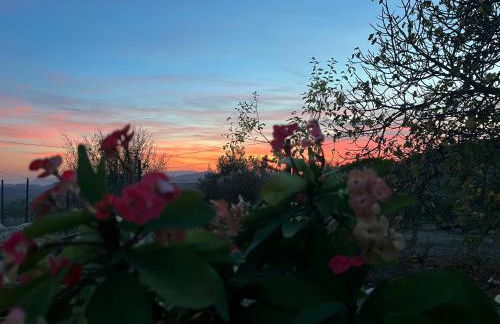 Casa Rubito el Olmo - Foto 37